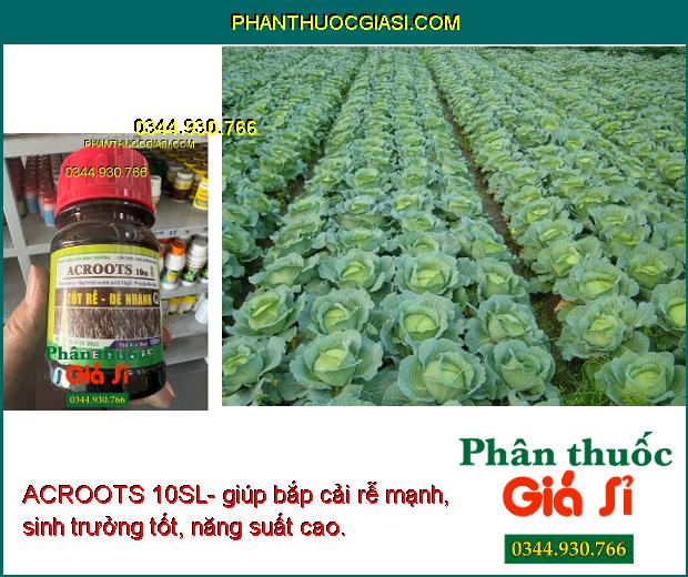 ACROOTS 10SL- Tốt Rễ - Đẻ Nhánh