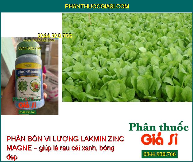 PHÂN BÓN VI LƯỢNG LAKMIN ZINC MAGNE – Tăng Khả Năng Quang Hợp Cho Bộ Lá