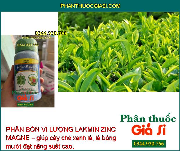 PHÂN BÓN VI LƯỢNG LAKMIN ZINC MAGNE – Tăng Khả Năng Quang Hợp Cho Bộ Lá