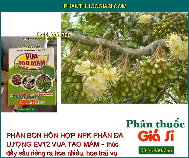 PHÂN BÓN HỖN HỢP NPK PHÂN ĐA LƯỢNG EV12 VUA TẠO MẦM – Phân Hóa Mầm Hoa- Xử Lý Ra Hoa Nghịch Vụ