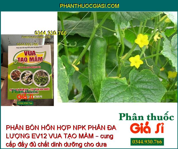 PHÂN BÓN HỖN HỢP NPK PHÂN ĐA LƯỢNG EV12 VUA TẠO MẦM – Phân Hóa Mầm Hoa- Xử Lý Ra Hoa Nghịch Vụ