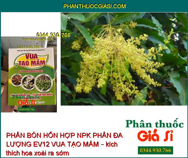 PHÂN BÓN HỖN HỢP NPK PHÂN ĐA LƯỢNG EV12 VUA TẠO MẦM – Phân Hóa Mầm Hoa- Xử Lý Ra Hoa Nghịch Vụ