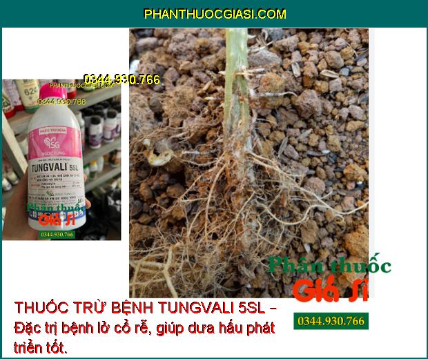 THUỐC TRỪ BỆNH TUNGVALI 5SL 