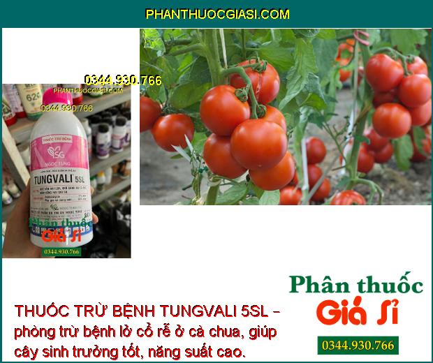 THUỐC TRỪ BỆNH TUNGVALI 5SL 