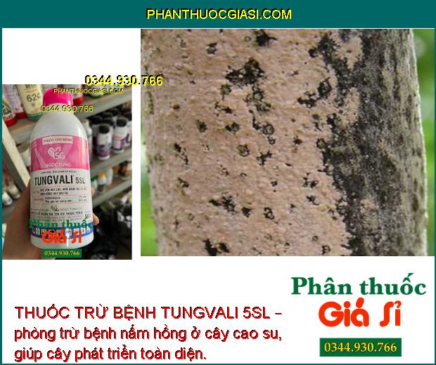 THUỐC TRỪ BỆNH TUNGVALI 5SL 