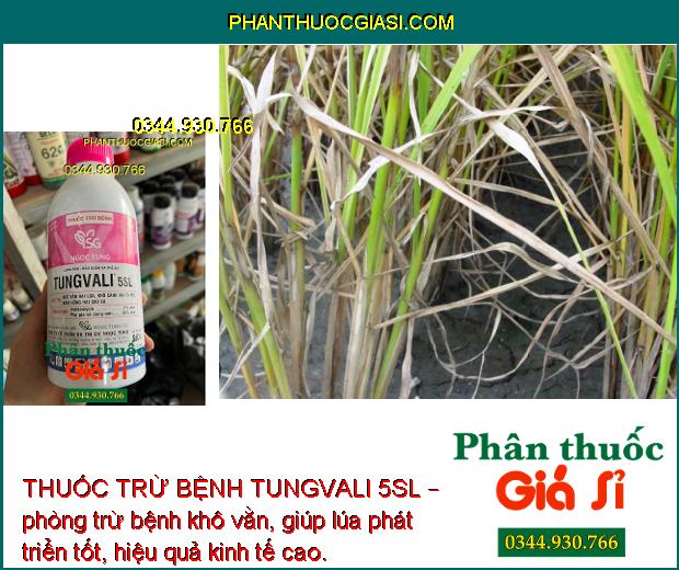 THUỐC TRỪ BỆNH TUNGVALI 5SL 