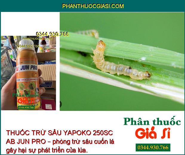 THUỐC TRỪ SÂU YAPOKO 250SC AB JUN PRO – Đặc Trị Sâu Rầy Gây Hại Cây Trồng