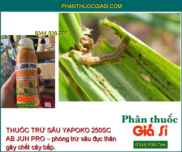 THUỐC TRỪ SÂU YAPOKO 250SC AB JUN PRO – Đặc Trị Sâu Rầy Gây Hại Cây Trồng