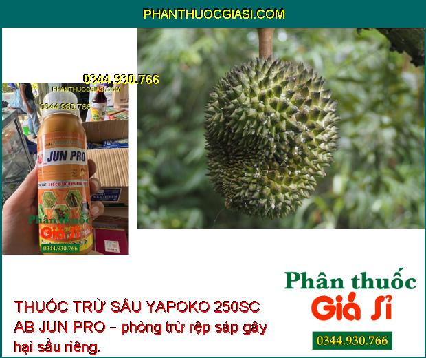 THUỐC TRỪ SÂU YAPOKO 250SC AB JUN PRO – Đặc Trị Sâu Rầy Gây Hại Cây Trồng