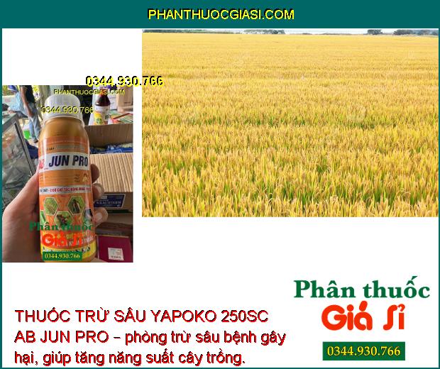 THUỐC TRỪ SÂU YAPOKO 250SC AB JUN PRO – Đặc Trị Sâu Rầy Gây Hại Cây Trồng