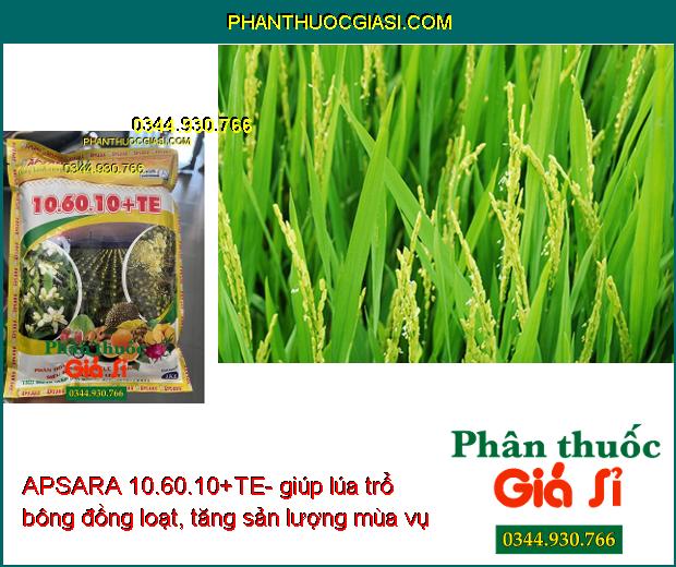 APSARA 10.60.10+TE- Siêu Ra Hoa- Phát Triển Rễ- Cứng Cây