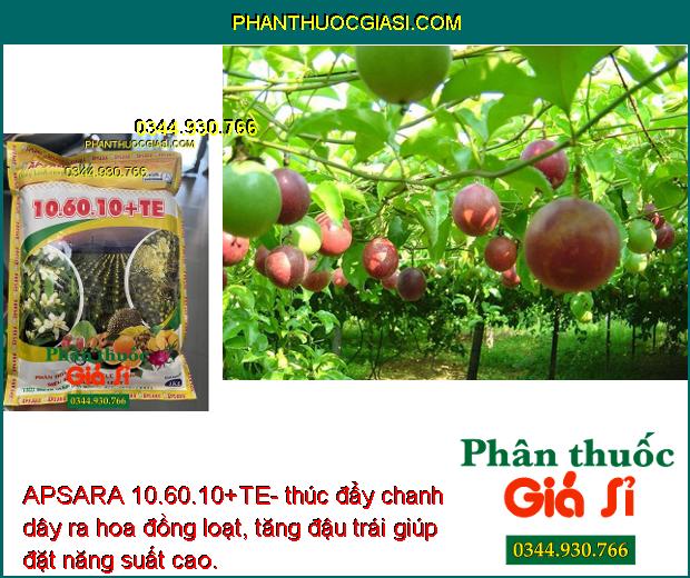 APSARA 10.60.10+TE- Siêu Ra Hoa- Phát Triển Rễ- Cứng Cây