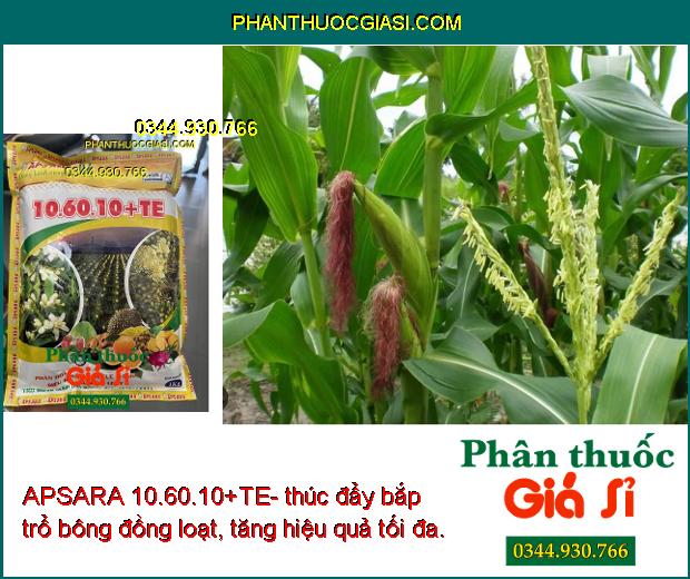 APSARA 10.60.10+TE- Siêu Ra Hoa- Phát Triển Rễ- Cứng Cây