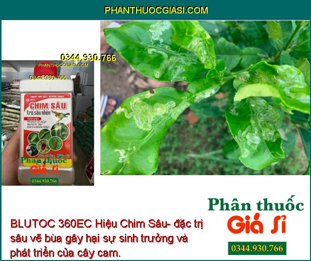 BLUTOC 360EC Hiệu Chim Sâu- Diệt Sâu Nhanh - Mạnh