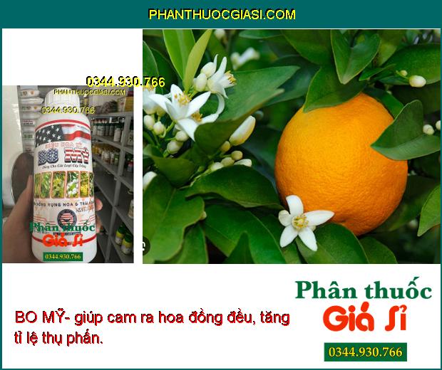 BO MỸ- Chống Rụng Hoa- Tăng Đậu Trái