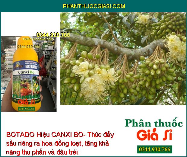 BOTADO Hiệu CANXI BO- Thúc Đẩy Ra Hoa Đồng Loạt