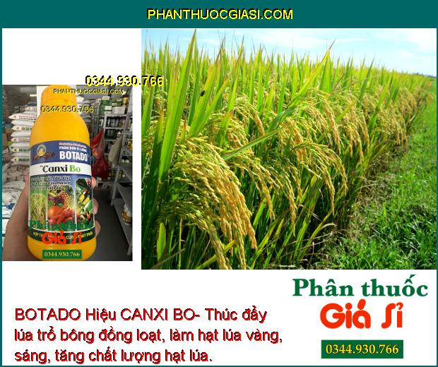 BOTADO Hiệu CANXI BO- Thúc Đẩy Ra Hoa Đồng Loạt