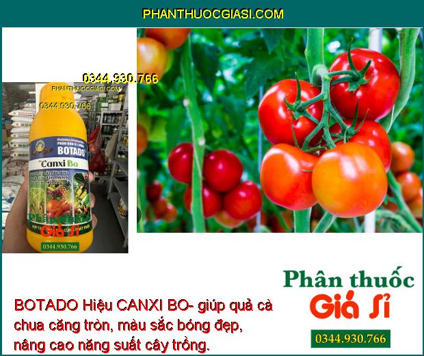 BOTADO Hiệu CANXI BO- Thúc Đẩy Ra Hoa Đồng Loạt