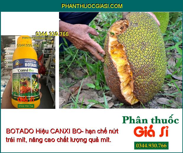 BOTADO Hiệu CANXI BO- Thúc Đẩy Ra Hoa Đồng Loạt