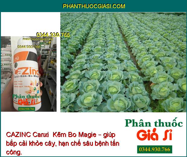 CAZINC Canxi  Kẽm Bo Magie – Cứng Cây- Tăng Thụ Phấn