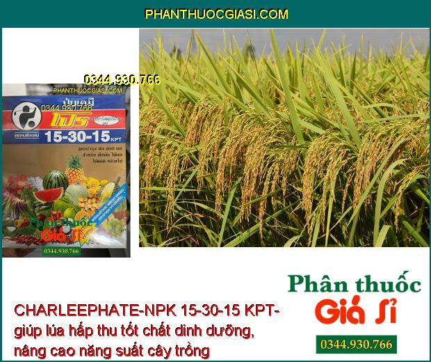 CHARLEEPHATE-NPK 15-30-15 KPT- Thúc Đẩy Cây Trồng Phát Triển 