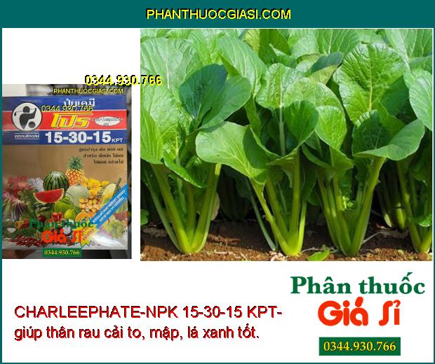 CHARLEEPHATE-NPK 15-30-15 KPT- Thúc Đẩy Cây Trồng Phát Triển 