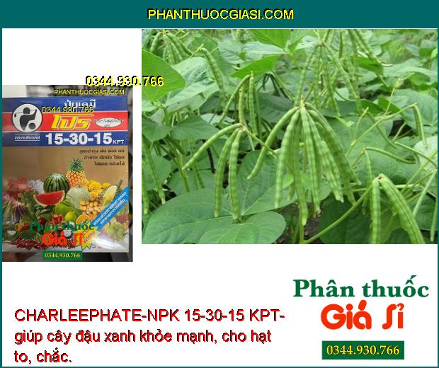 CHARLEEPHATE-NPK 15-30-15 KPT- Thúc Đẩy Cây Trồng Phát Triển 