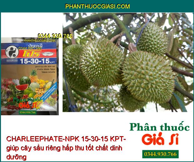 CHARLEEPHATE-NPK 15-30-15 KPT- Thúc Đẩy Cây Trồng Phát Triển 