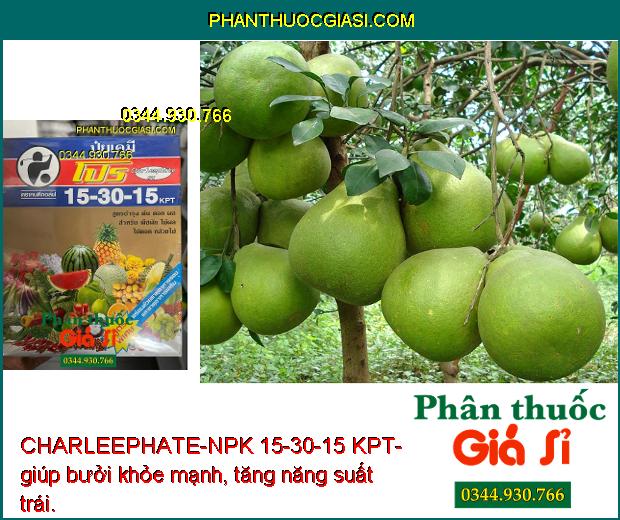 CHARLEEPHATE-NPK 15-30-15 KPT- Thúc Đẩy Cây Trồng Phát Triển 