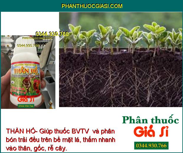 THẦN HỔ- Tăng Hiệu Lực Thuốc BVTV- Phân Bón