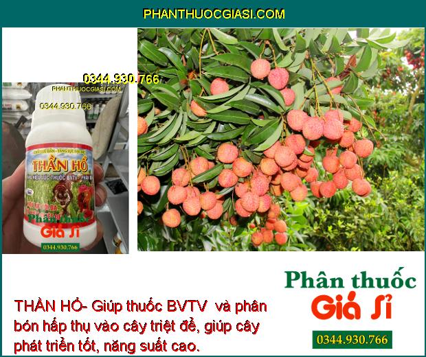 THẦN HỔ- Tăng Hiệu Lực Thuốc BVTV- Phân Bón