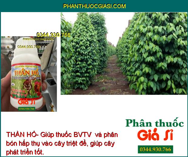 THẦN HỔ- Tăng Hiệu Lực Thuốc BVTV- Phân Bón