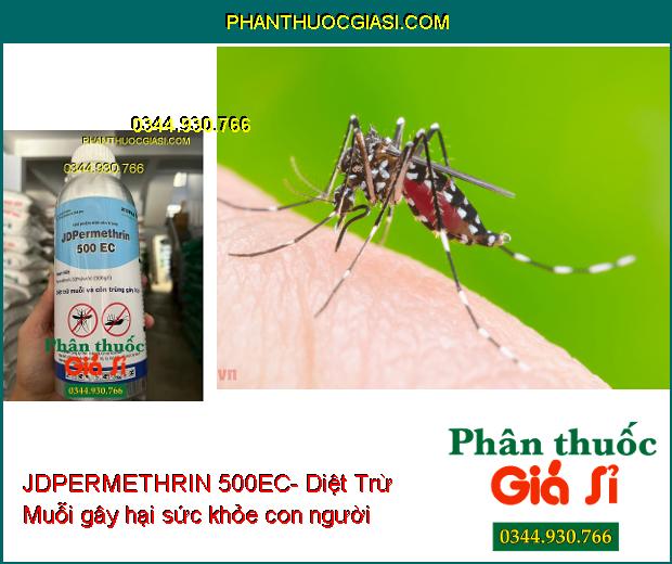 JDPERMETHRIN 500EC-Diệt Trừ Muỗi Và Côn Trùng