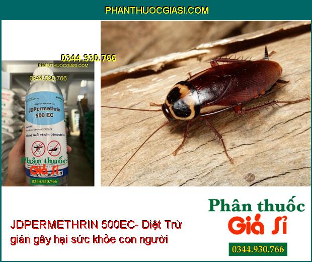 JDPERMETHRIN 500EC-Diệt Trừ Muỗi Và Côn Trùng