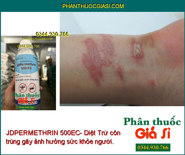 JDPERMETHRIN 500EC-Diệt Trừ Muỗi Và Côn Trùng