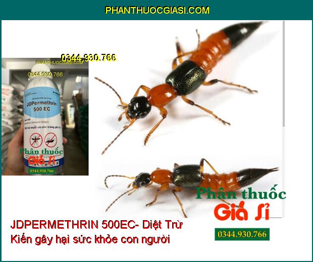 JDPERMETHRIN 500EC-Diệt Trừ Muỗi Và Côn Trùng