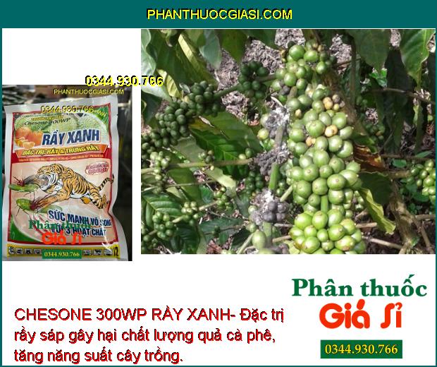 CHESONE 300WP RẦY XANH- Đặc Trị Rầy Và Trứng Rầy