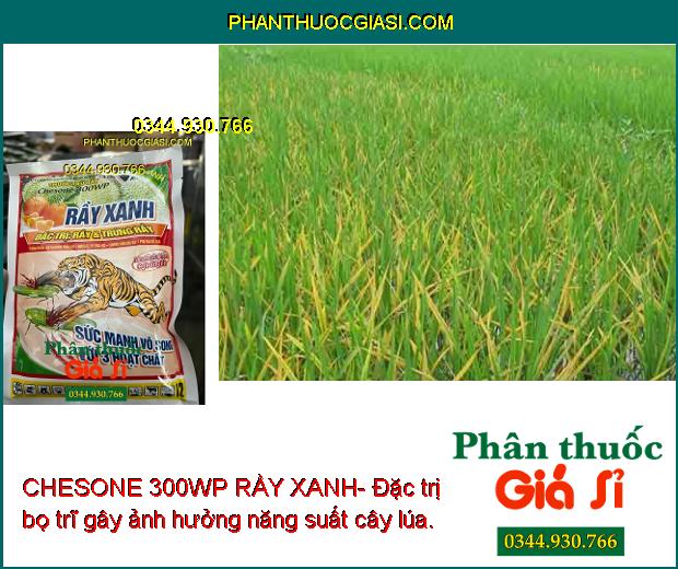 CHESONE 300WP RẦY XANH- Đặc Trị Rầy Và Trứng Rầy