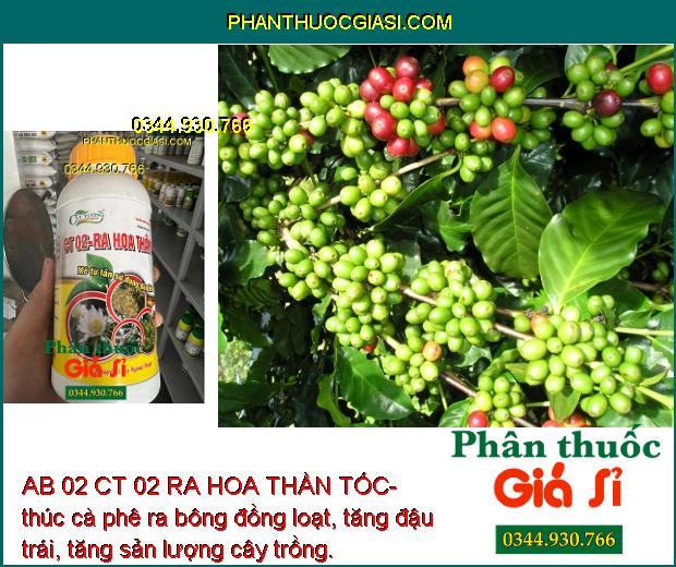 AB 02 CT 02 RA HOA THẦN TỐC- Bung Hoa Đều - Tăng Đậu Trái