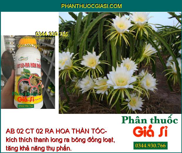 AB 02 CT 02 RA HOA THẦN TỐC- Bung Hoa Đều - Tăng Đậu Trái