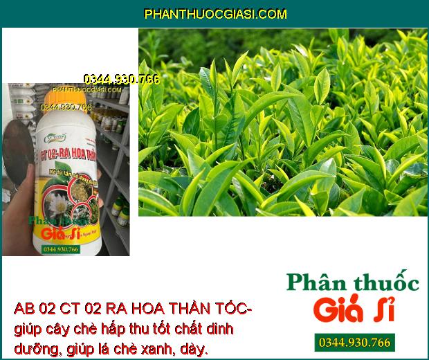 AB 02 CT 02 RA HOA THẦN TỐC- Bung Hoa Đều - Tăng Đậu Trái