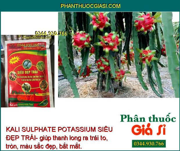 KALI SULPHATE POTASSIUM SIÊU ĐẸP TRÁI- Kích Thích Ra Hoa- Đậu Trái - Tăng Chất Lượng Nông Sản 