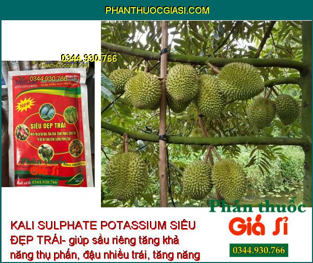 KALI SULPHATE POTASSIUM SIÊU ĐẸP TRÁI- Kích Thích Ra Hoa- Đậu Trái - Tăng Chất Lượng Nông Sản 