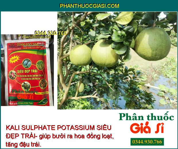 KALI SULPHATE POTASSIUM SIÊU ĐẸP TRÁI- Kích Thích Ra Hoa- Đậu Trái - Tăng Chất Lượng Nông Sản 