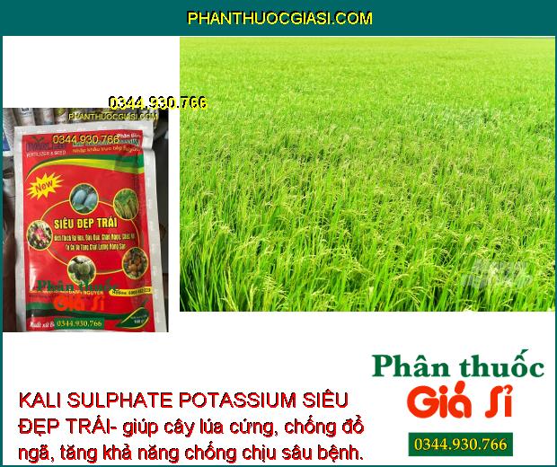 KALI SULPHATE POTASSIUM SIÊU ĐẸP TRÁI- Kích Thích Ra Hoa- Đậu Trái - Tăng Chất Lượng Nông Sản 