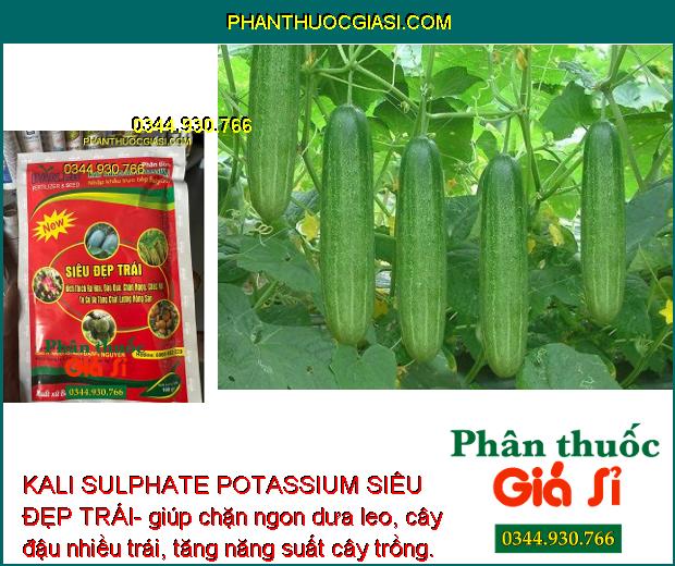 KALI SULPHATE POTASSIUM SIÊU ĐẸP TRÁI- Kích Thích Ra Hoa- Đậu Trái - Tăng Chất Lượng Nông Sản 