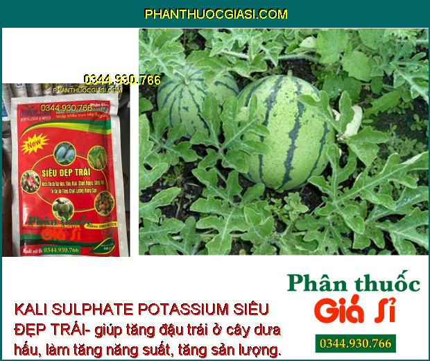 KALI SULPHATE POTASSIUM SIÊU ĐẸP TRÁI- Kích Thích Ra Hoa- Đậu Trái - Tăng Chất Lượng Nông Sản 