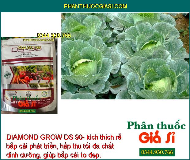 DIAMOND GROW DS 90- Kích Thích Rễ - Tăng Đề Kháng 