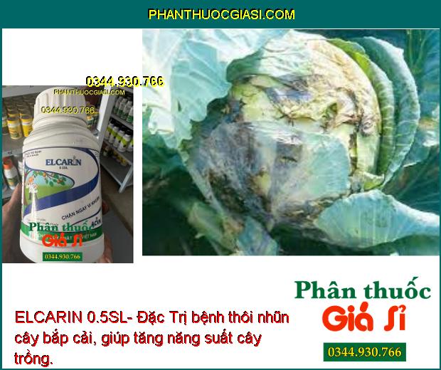 ELCARIN 0.5SL- Đặc Trị Vi Khuẩn Hiệu Quả