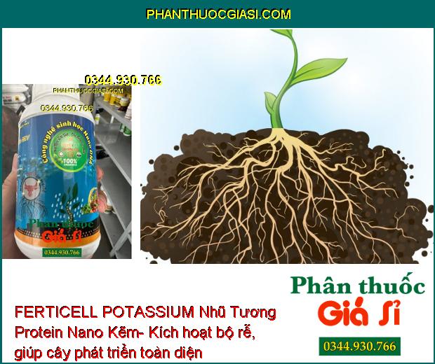 FERTICELL POTASSIUM Nhũ Tương Protein Nano Kẽm- Kích Rễ- Phân Hóa Mầm Hoa